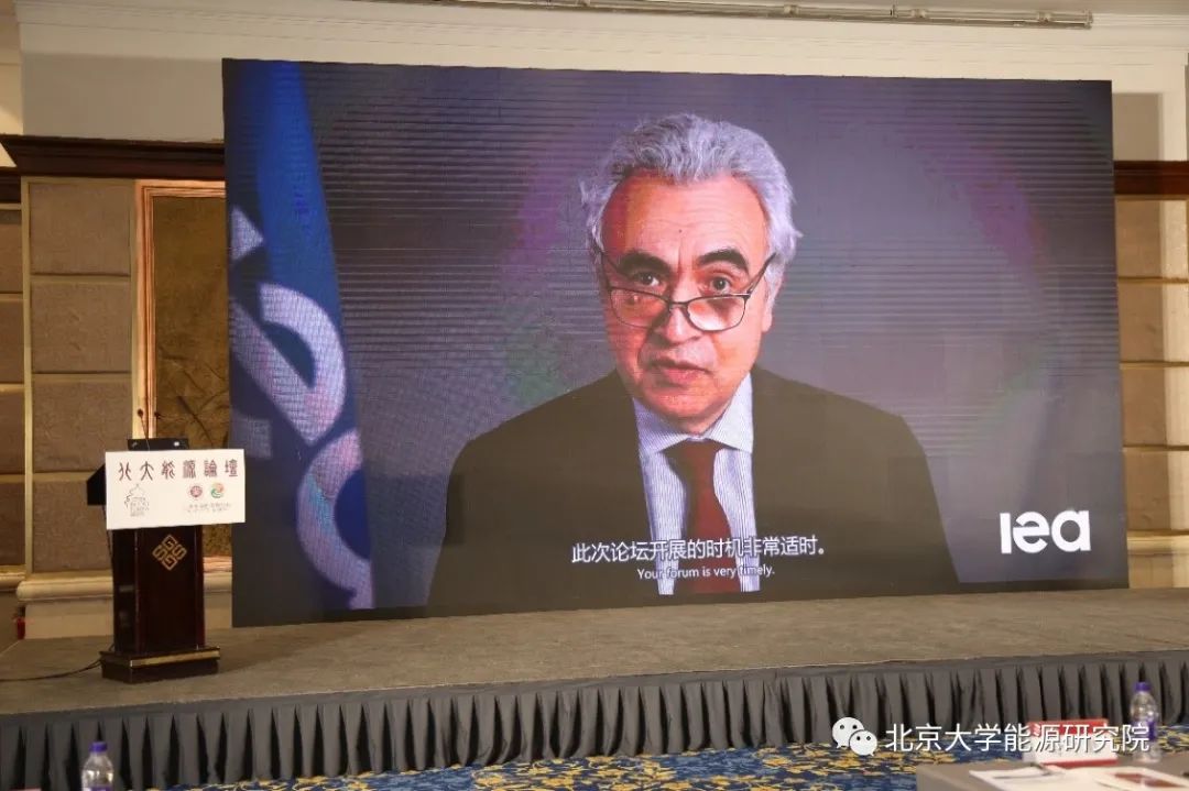 蘑菇视频