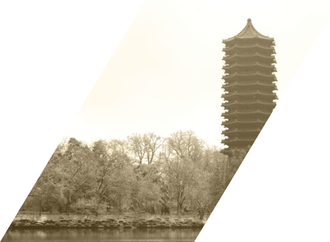 蘑菇视频